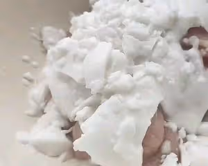 正宗老東北鍋包肉