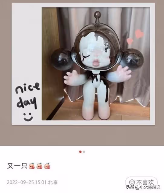 曝戚薇二胎順利產子,李承鉉在節目中親口承認,兒子隨母姓引熱議