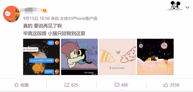 李易峰涼涼15天後團隊已解散 本人向粉絲喊話