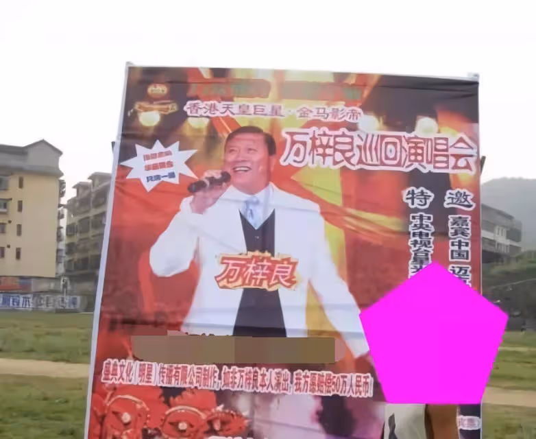 「河南女婿」萬子良:我對前妻沒有愧疚,我愛我16歲的空姐妻子和洛陽