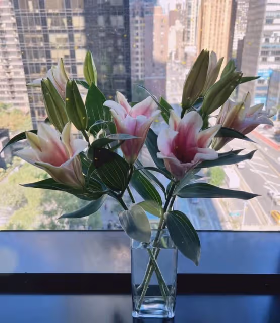 李詠妻子曬照紀念結婚30周年!與女兒定居美國,網友勸其再找他人