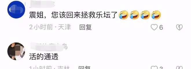 56歲田震在澳洲街邊無人識,背萬元奢侈包似凍齡,無兒無女引爭議