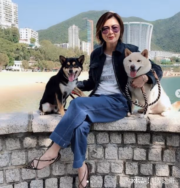 關之琳60歲獨居上億豪宅超愜意!昔「香江第一美人」為富商傷透心