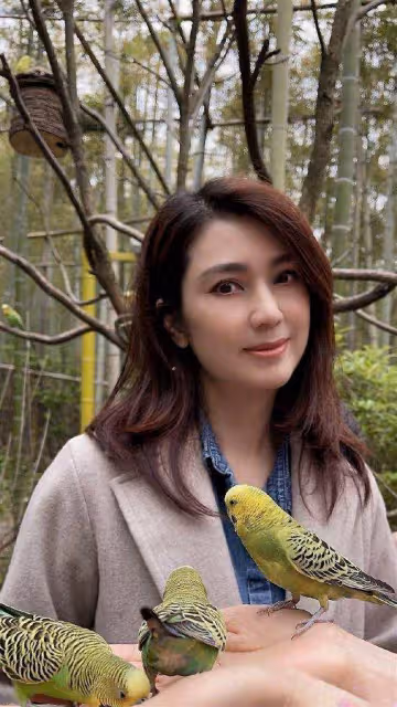 知名港圈女神現身小縣城商演!出場費高達60萬,唱歌頻頻走音