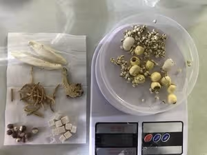 兒童版八珍糕