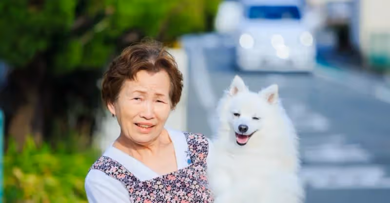 62歲僱主表白保姆被拒，憤怒埋怨：這麼大年紀了，要那麼多錢幹嘛