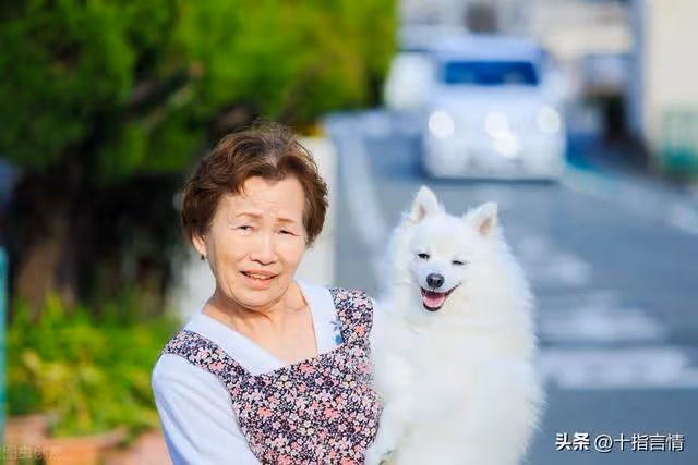 62歲僱主表白保姆被拒,憤怒埋怨:這麼大年紀了,要那麼多錢幹嘛