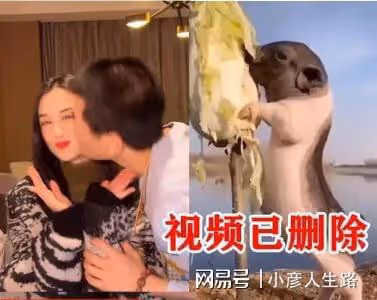 力破離婚傳言!黃聖依楊子合體直播,夫妻倆搭檔如常未刻意撒糖