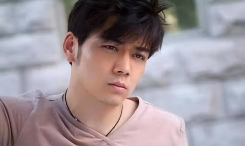 楊爍：從一線明星到在娛樂圈幾乎「消失」，他是如何毀掉自己的未來的？