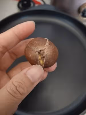空氣炸鍋烤板栗，十五分鐘不切口！