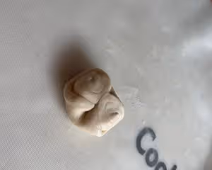 酥掉渣 椒鹽牛舌餅 聚會 野餐 咸口