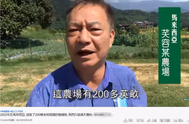 65歲廖偉雄定居國外,現身農場救有病榴槤樹,曾稱想投資當地農業