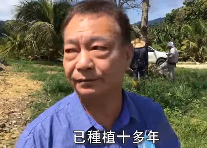 65歲廖偉雄定居國外,現身農場救有病榴槤樹,曾稱想投資當地農業