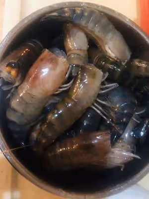 回味無窮-醬油王焗蝦