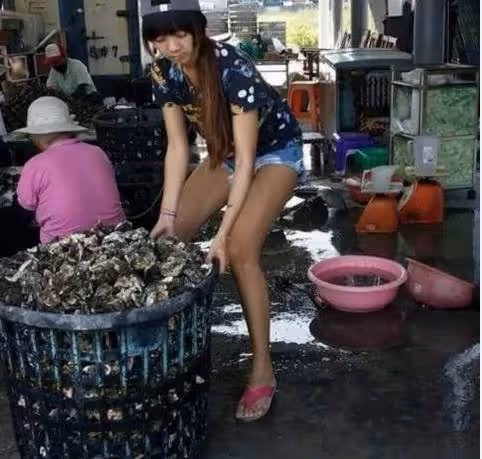 媽出意外無法勞動,25歲台南孝女辭高薪工作,返鄉剝蚵照顧家,被笑「真沒出息」「直播剝蚵」爆紅,酸民全閉嘴