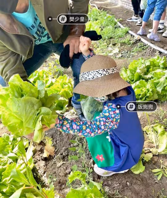 樊少皇一家定居北京住豪宅,小女兒生日開派對慶祝,全員高顏值