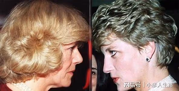 安妮公主愛恨分明：罵黛安娜傻，心疼紅髮哈里，拒絕向卡米拉行禮