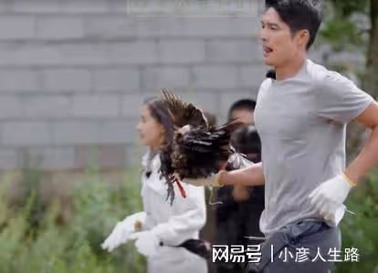 容祖兒抓雞嚇出表情包,張翰在一旁偷笑合不攏嘴,這倆組CP很搞笑
