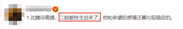 曝沈騰離婚欲娶小三!網傳其老婆早已懷二胎,親姐回復傳聞引猜測