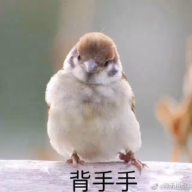 好聽的聲音對女生殺傷力有多大?女神自述:閉著眼我也要上