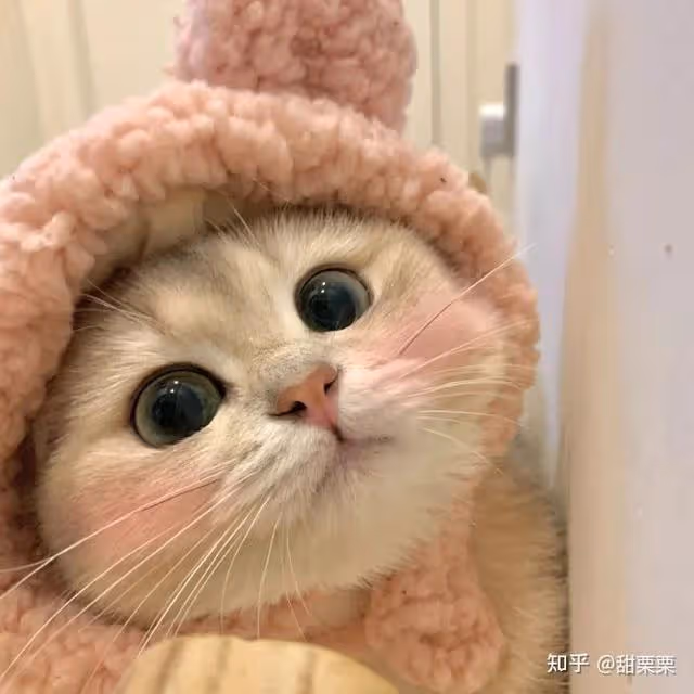 好聽的聲音對女生殺傷力有多大?女神自述:閉著眼我也要上