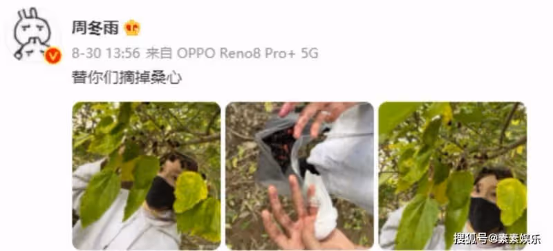 周冬雨在公園摘桑葚引發熱議，網友在留言區多次提到劉昊然