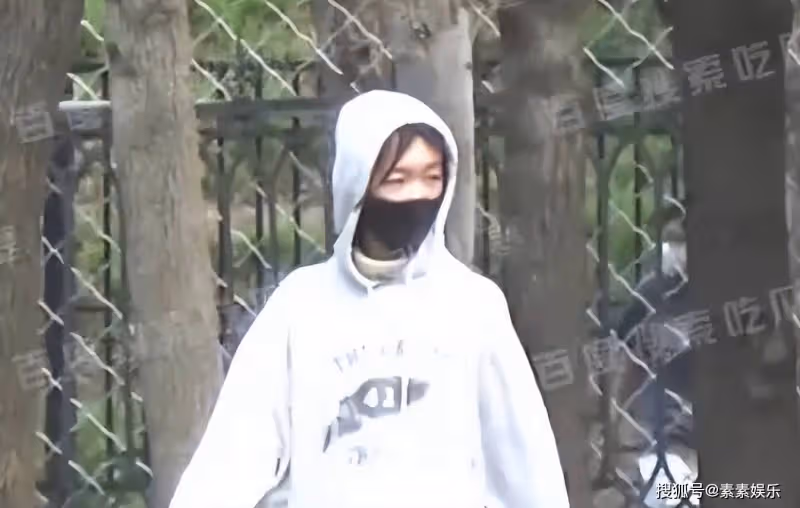 周冬雨在公園摘桑葚引發熱議，網友在留言區多次提到劉昊然