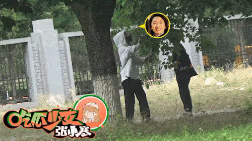 周冬雨在公園摘桑葚,和媽媽拿袋子裝回家,母女違反公園管理條例