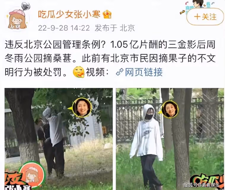周冬雨在公園摘桑葚,和媽媽拿袋子裝回家,母女違反公園管理條例