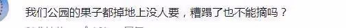 周冬雨在公園摘桑葚,和媽媽拿袋子裝回家,母女違反公園管理條例