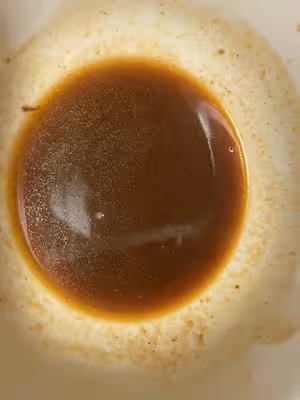 西紅柿豆角燜面