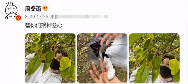 周冬雨劉昊然被曝戀愛後現身!女方逛公園違反條例,男方開心難掩