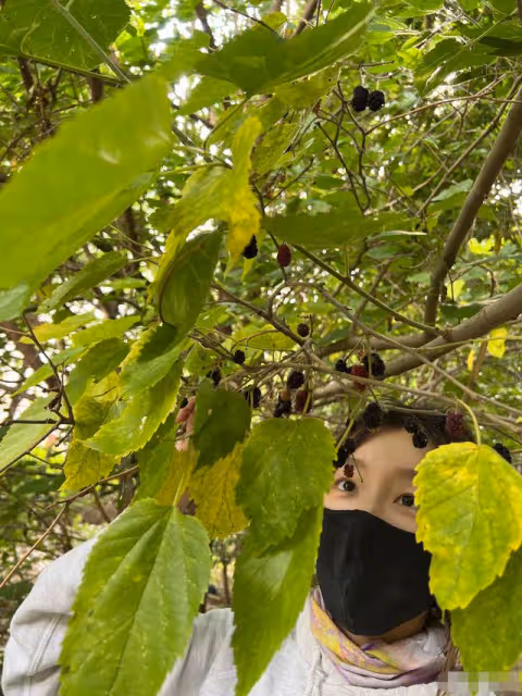 周冬雨劉昊然被曝戀愛後現身!女方逛公園違反條例,男方開心難掩