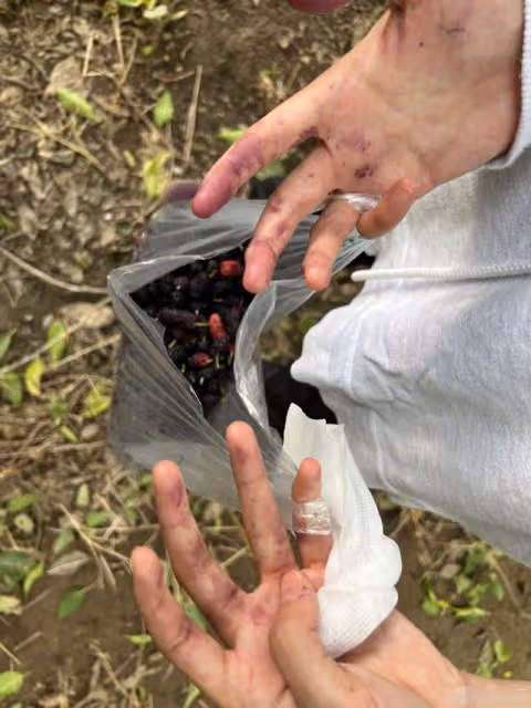周冬雨劉昊然被曝戀愛後現身!女方逛公園違反條例,男方開心難掩
