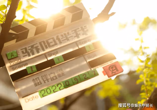 《驕陽伴我》原著小說是什麼?《驕陽伴我》講的是什麼故事
