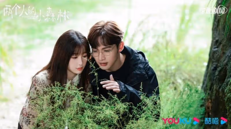 虞書欣張彬彬《兩個人的小森林》掀棄劇潮:吻戲一剪沒,副線CP戲份比男主角還多
