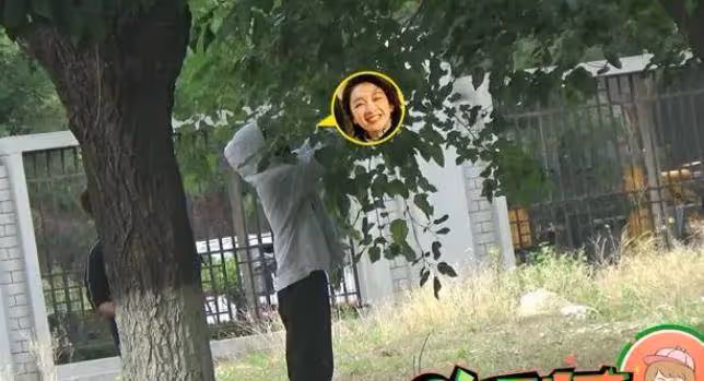 周冬雨公園私自摘桑葚引爭議,媽媽拎塑料袋裝著,恐面臨罰款處罰