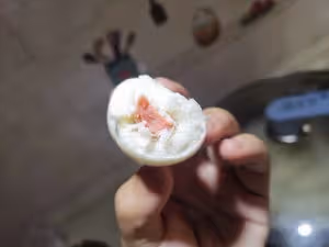 【毛毛蟲香腸包】一次發酵，美味停不下來