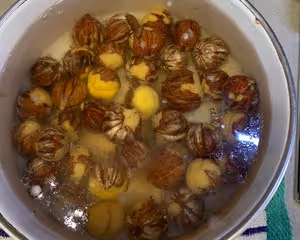 可可栗子軟歐包（內附栗子餡做法）