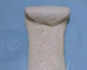 淡奶油小方包                          （快手一次發酵）