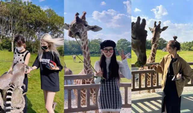 被封殺依舊瀟灑,王思聰帶四位美女遊玩,幾個女人相處超和諧!
