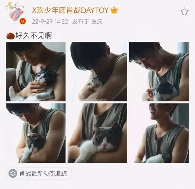 肖戰曬寵物合照眼神寵溺:好久不見!手臂肌肉線條搶鏡