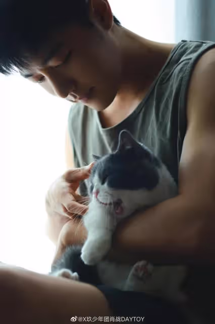 肖戰曬寵物合照眼神寵溺:好久不見!手臂肌肉線條搶鏡