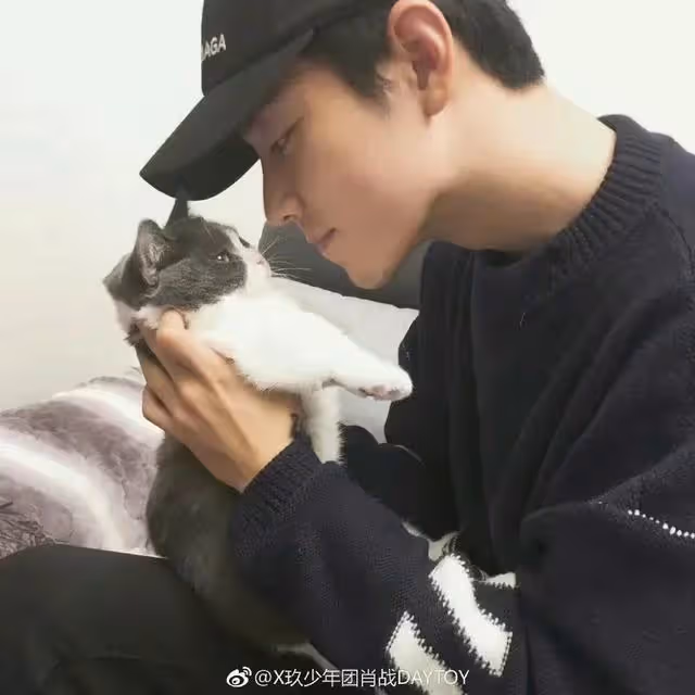 肖戰曬寵物合照眼神寵溺:好久不見!手臂肌肉線條搶鏡