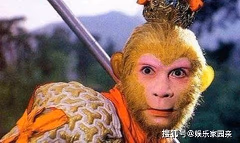 盤點電視劇里那些出場無敵,卻屢次被吊打的大俠,你知道都有誰嗎