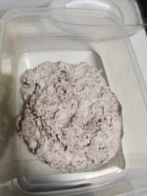 無糖無油歐包 不用揉面