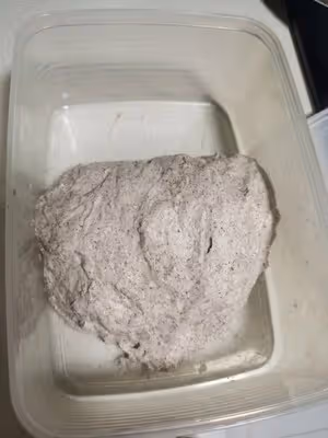 無糖無油歐包 不用揉面