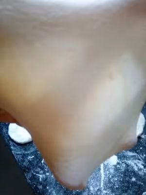 衢州烤餅-衢州特色小吃之一