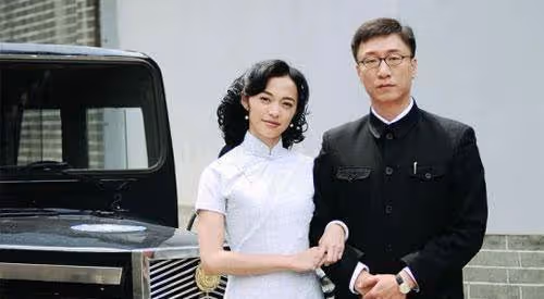 出演的電視劇,紅遍半邊天,為何姚晨在電影圈火不了?
