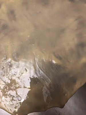 印度飛餅（家庭版）